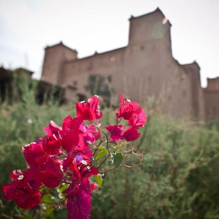 Отель Kasbah Ait Ben Moro Скура Экстерьер фото